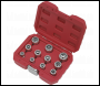 Sealey AK7281 Premier Bolt Extractor Socket Set 3/8 inch Sq Drive 11pc