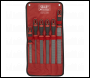 Sealey AKR06 Premier Rasp File Set 6pc