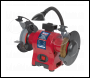 Sealey BG150XWL 150mm Bench Grinder & Wire Wheel Combination with Worklight 250W/230V