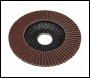 Sealey FD11560E10 115mm Aluminium Oxide Flap Discs 60Grit 22mm Bore - Pack of 10