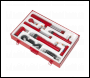 Sealey RE97XCKIT Specialist Push & Pull Ram Set