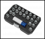 Sealey SX209 Locking Wheel Nut Key Set 21pc - BMW & Mini