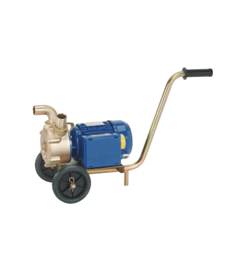 TT Pumps EP Bronze - Self-Priming Pump