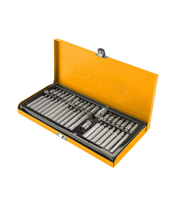 Tolsen Screwdriver Bit Set 40 pcs (Torx/Hex/Spline) In Metal Case