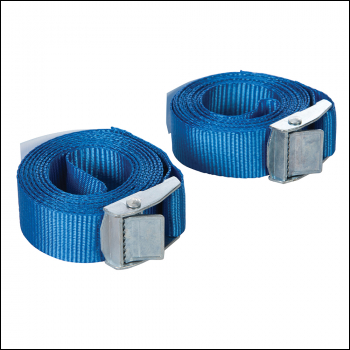 Silverline Cam Buckle Tie Down Strap 2.5m x 25mm 2pk - 2.5m x 25mm - Code 449682