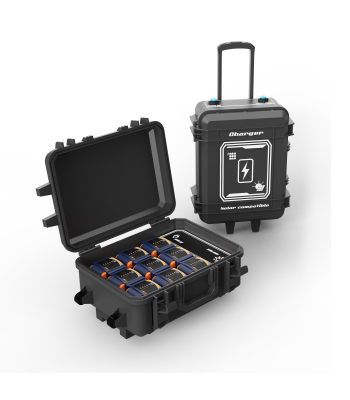 Power2Go 9 Bay Lithium Battery Pack Charging Case with D24-100 batteries - Code PTG-TKC-9-D24-100